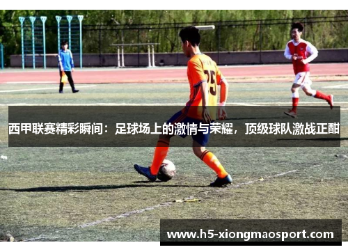 西甲联赛精彩瞬间：足球场上的激情与荣耀，顶级球队激战正酣
