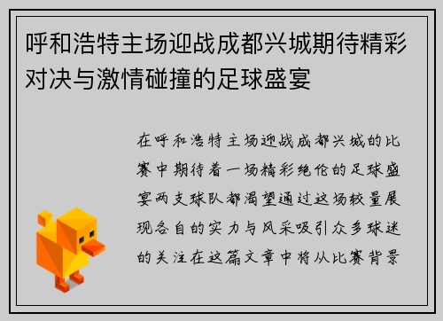 呼和浩特主场迎战成都兴城期待精彩对决与激情碰撞的足球盛宴
